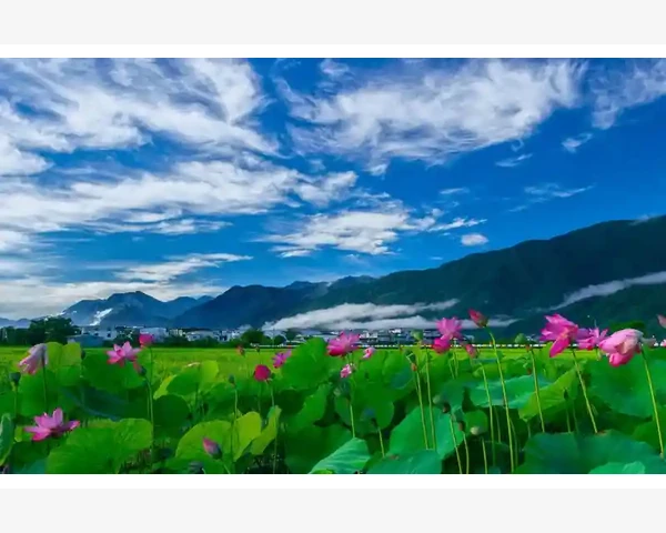 女人气血不足的症状如何调理：中医科普指南