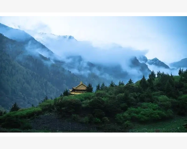 中暑如何影响脾胃健康？知己知彼，百战不殆