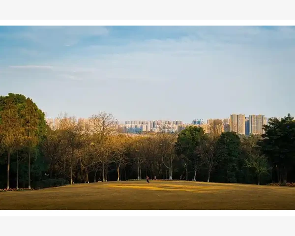 肾炎一百种中药方剂，助力康复之路!